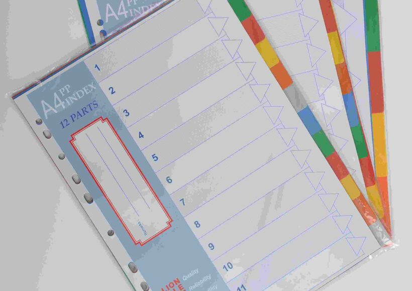 lion-a4-plast-divider-clr-20-tab