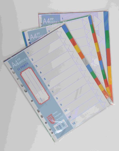 LION A4 PLAST DIVIDER CLR 20 TAB
