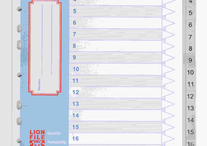 lion-a4-plast-divider-w-number-1-20