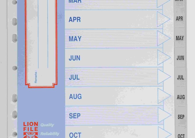 lion-a4-plast-divider-jan-dec