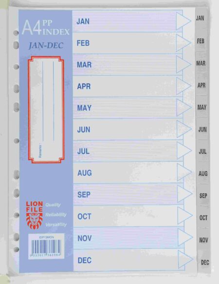 LION A4 PLAST DIVIDER JAN-DEC