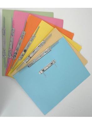 lion-transfer-spectrum-pink