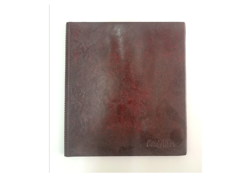 lizy-collection-name-card-holder-96-pockets