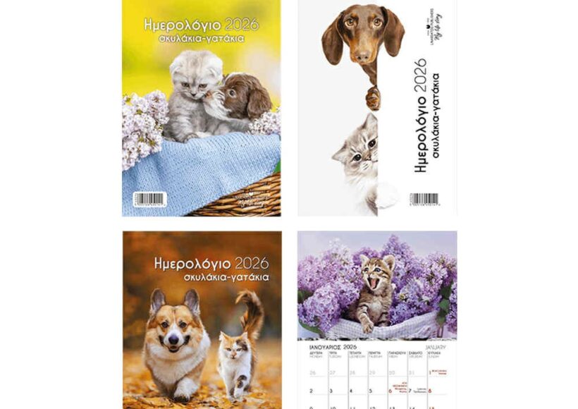 diary-2026-monthly-wall-planner-animals-17x24cm-550049
